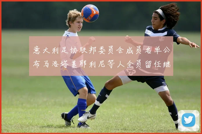 意大利足协联邦委员会成员名单公布马洛塔基耶利尼等人全员留任继续服务